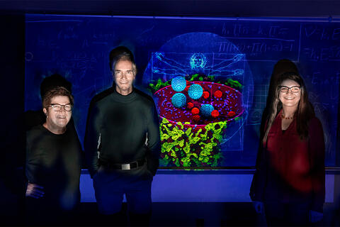 Chemistry professors Zaida Luthey-Schulten, left, Martin Gruebele and research scientist Zhaleh Ghaemi with image of their research.