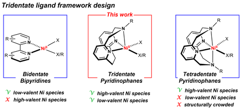 Graphic showing the various ligands.