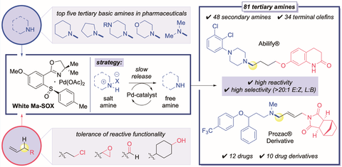 Graphic displaying the chemical equations central to the research