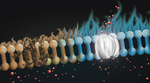 A graphic illustration of an orange and turquoise colored gene chain with a white section that is the prosthetic in the chain. 