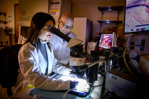Postdoctoral researcher Jamila Hedhli and professor Wawrzyniec Dobrucki doing work into PAD recovery.