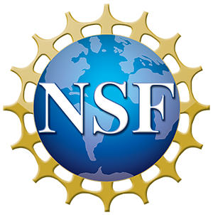 NSF logo which is a blue graphic of the globe and the NSF acronym across it in white letters