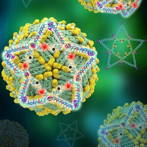 Image depicting a star shape on a DNA molecule