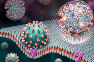 Colorful artist's rendering showing spheres representing spike proteins of the virus that causes COVID-19, the nets encapsulating them and the glowing signals.