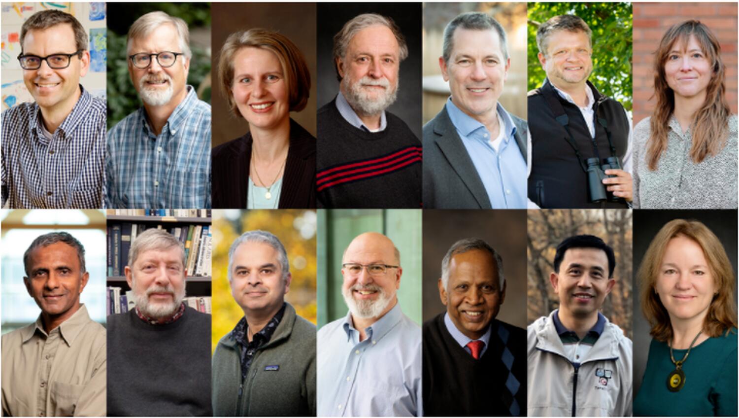 Two rows of side-by-side headshots of 14 UIUC professors