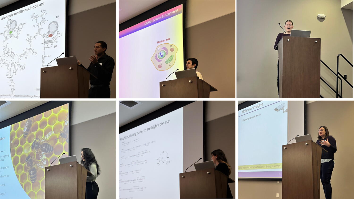Six photos showing speakers at the podium presenting their research on a large screen.