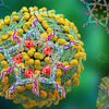 Five pointed star of DNA
