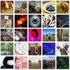 2020 Image of Research collage