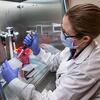 Lab technician processes a saliva COVID-19 testing sample