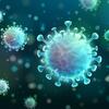 Illustration of the COVID-19 virus
