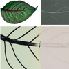 Three images of leaves, showing vascular networks, illustrating the synchronized manufacturing of a bioinspired structure with a hierarchical vascular network. 