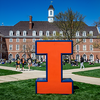 Photo of a Block I with the UIUC Quad in the background.