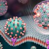 Colorful artist's rendering showing spheres representing spike proteins of the virus that causes COVID-19, the nets encapsulating them and the glowing signals.
