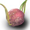 Graphic illustration of an instrumented tissue mimic that looks like a pink spherical shape with green wing-like structures extending from opposite sides. 